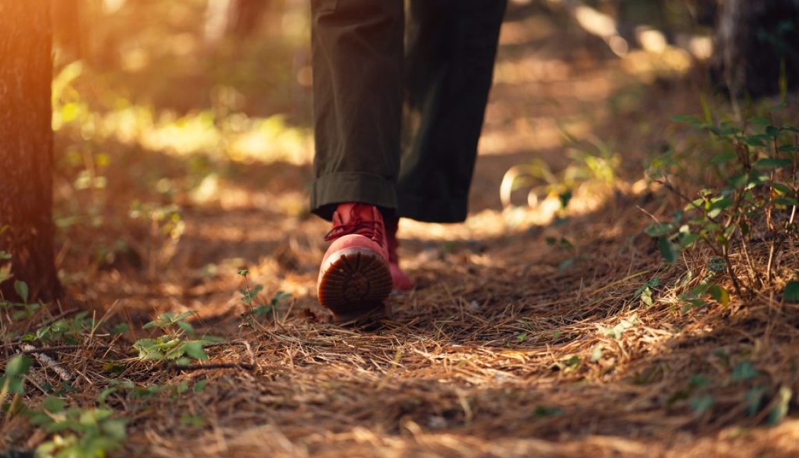 pathway